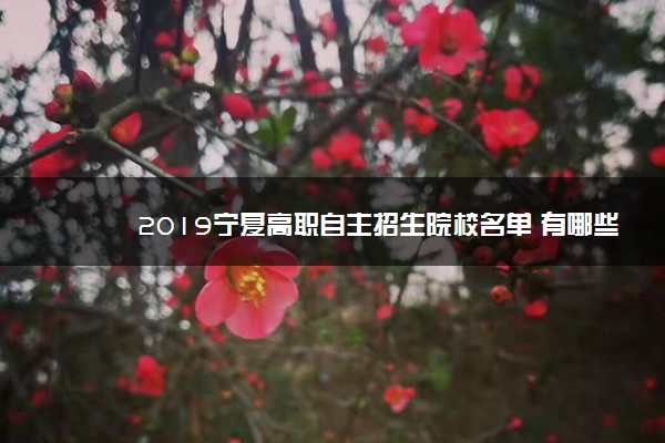 2019宁夏高职自主招生院校名单 有哪些学校