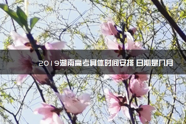 2019湖南高考具体时间安排 日期是几月几号