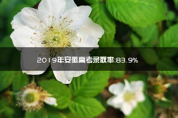 2019年安徽高考录取率：83.9%