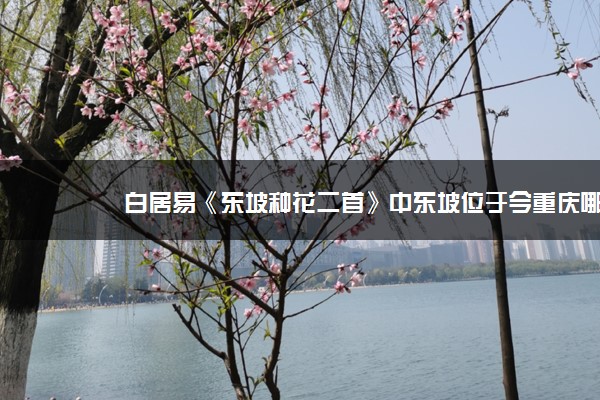 白居易《东坡种花二首》中东坡位于今重庆哪里