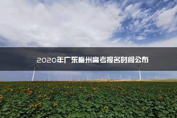 2020年广东梅州高考报名时间公布