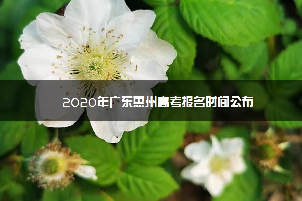 2020年广东惠州高考报名时间公布