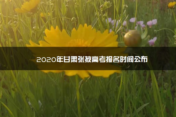 2020年甘肃张掖高考报名时间公布