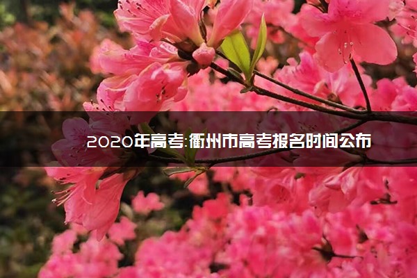 2020年高考：衢州市高考报名时间公布