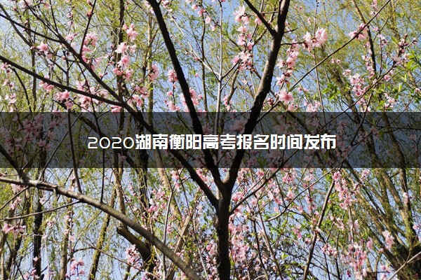 2020湖南衡阳高考报名时间发布