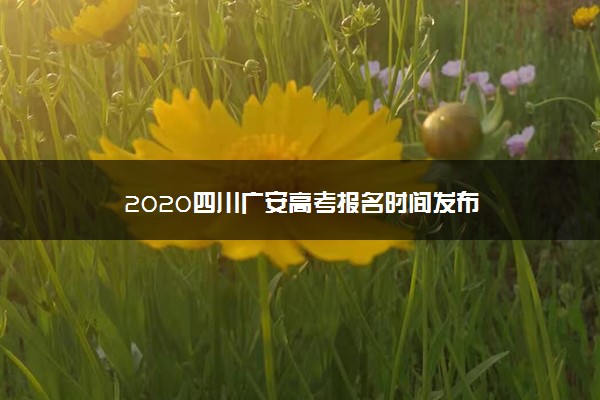 2020四川广安高考报名时间发布