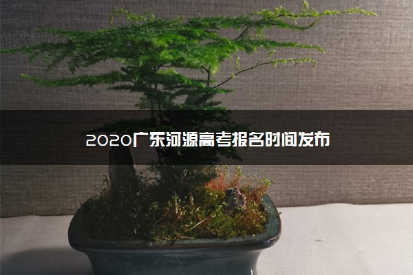 2020广东河源高考报名时间发布