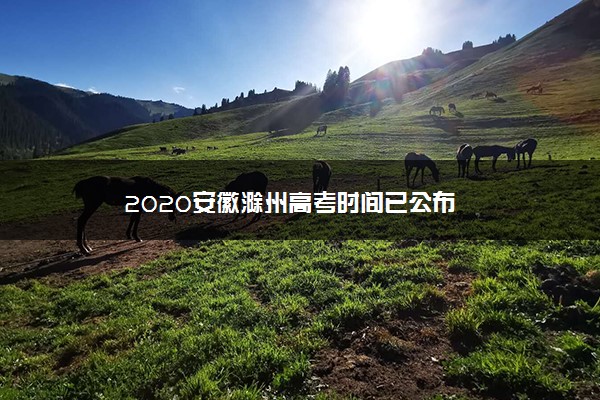 2020安徽滁州高考时间已公布