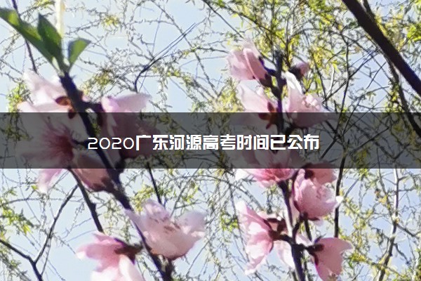 2020广东河源高考时间已公布