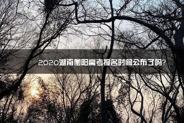 2020湖南衡阳高考报名时间公布了吗？