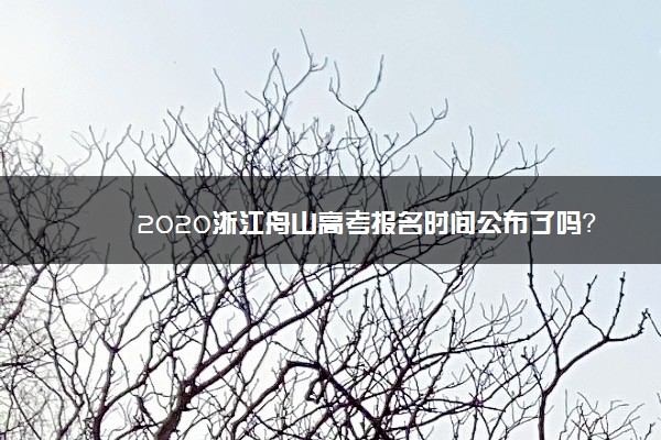 2020浙江舟山高考报名时间公布了吗？