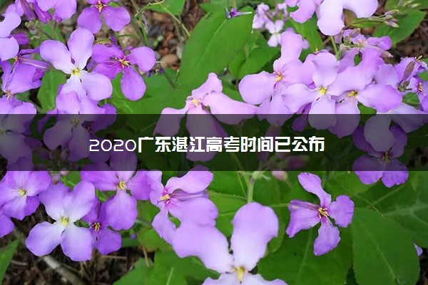 2020广东湛江高考时间已公布