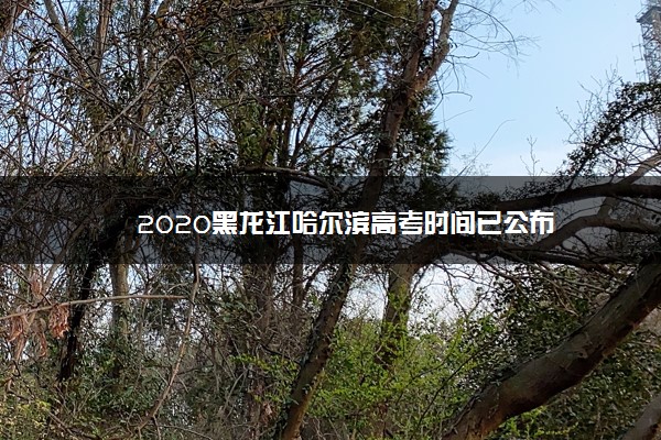 2020黑龙江哈尔滨高考时间已公布
