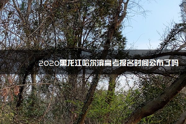 2020黑龙江哈尔滨高考报名时间公布了吗？