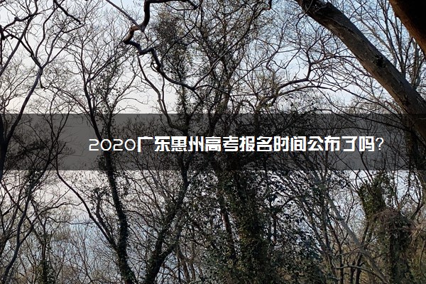 2020广东惠州高考报名时间公布了吗？