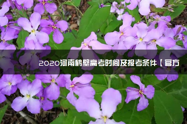 2020河南鹤壁高考时间及报考条件【官方发布】