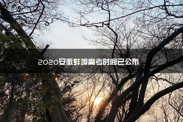 2020安徽蚌埠高考时间已公布