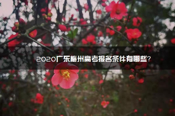 2020广东梅州高考报名条件有哪些？
