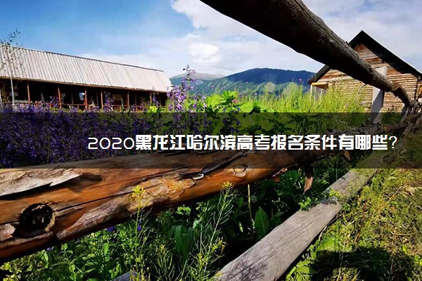 2020黑龙江哈尔滨高考报名条件有哪些？