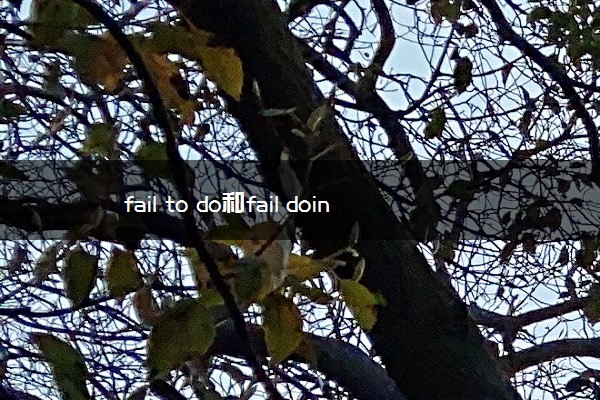fail to do和fail doing的区别