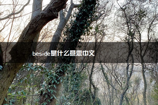 beside是什么意思中文