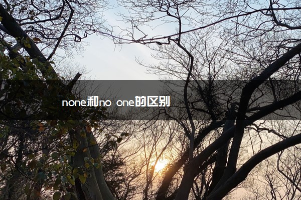 none和no one的区别