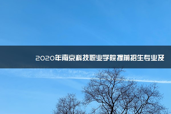 2020年南京科技职业学院提前招生专业及计划