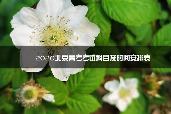 2020北京高考考试科目及时间安排表