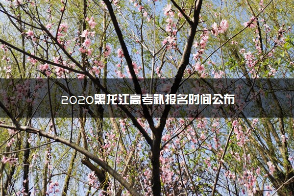 2020黑龙江高考补报名时间公布