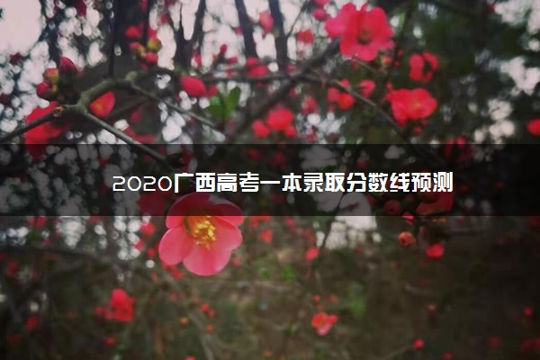 2020广西高考一本录取分数线预测