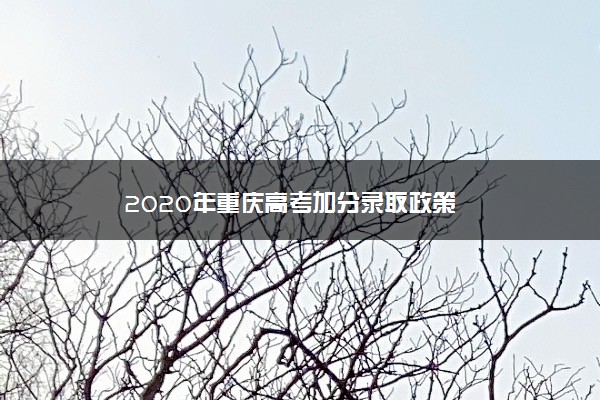 2020年重庆高考加分录取政策