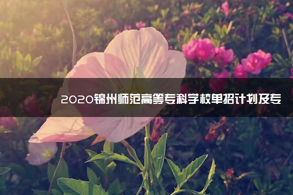 2020锦州师范高等专科学校单招计划及专业
