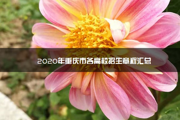 2020年重庆市各高校招生章程汇总