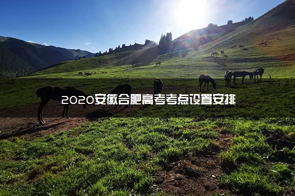2020安徽合肥高考考点设置安排