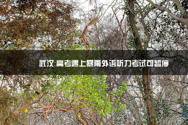 武汉：高考遇上暴雨外语听力考试可暂停