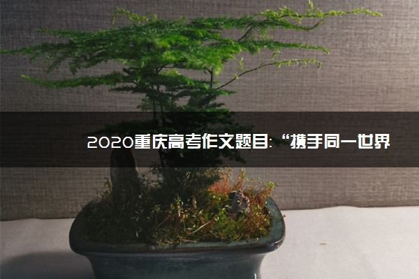 2020重庆高考作文题目：“携手同一世界，青年共创未来”
