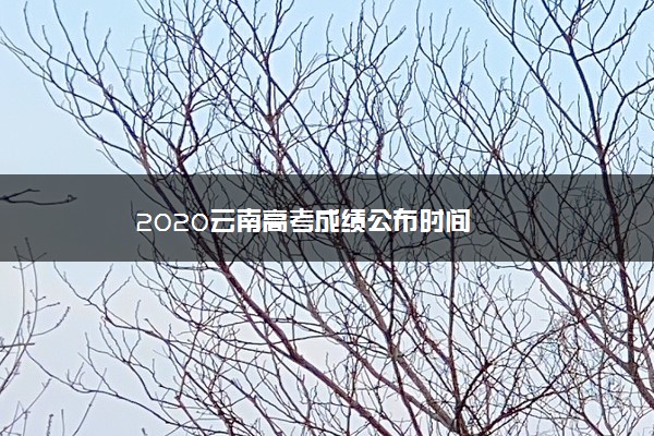 2020云南高考成绩公布时间