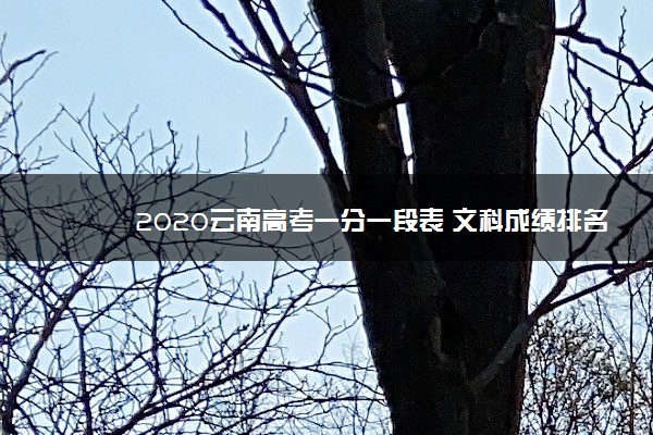 2020云南高考一分一段表 文科成绩排名【最新公布】