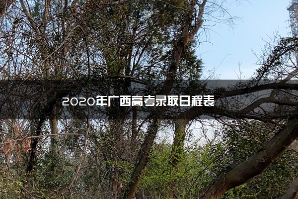 2020年广西高考录取日程表