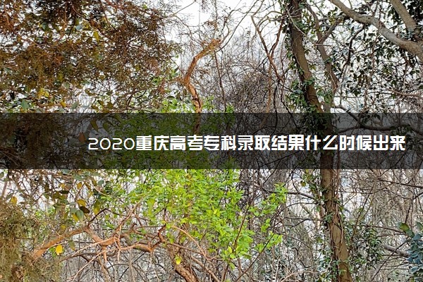 2020重庆高考专科录取结果什么时候出来