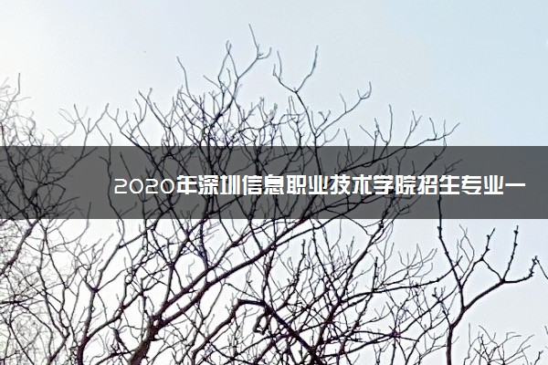 2020年深圳信息职业技术学院招生专业一览表
