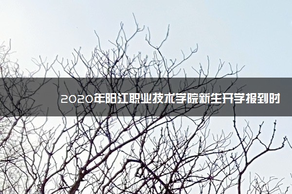 2020年阳江职业技术学院新生开学报到时间