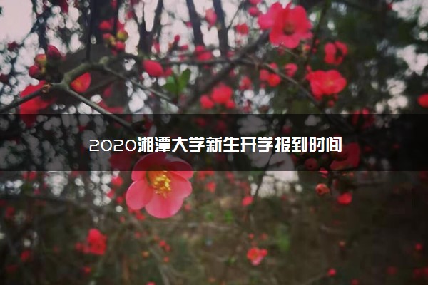 2020湘潭大学新生开学报到时间
