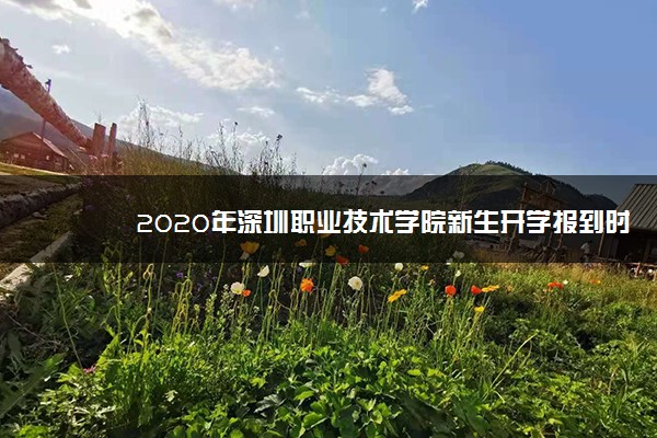 2020年深圳职业技术学院新生开学报到时间
