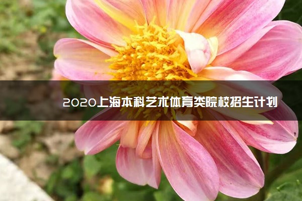 2020上海本科艺术体育类院校招生计划