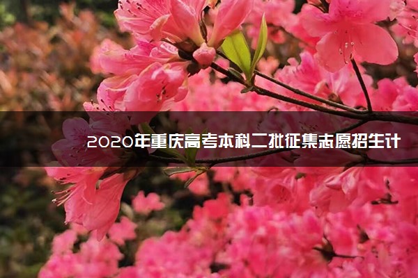 2020年重庆高考本科二批征集志愿招生计划