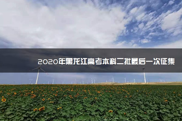 2020年黑龙江高考本科二批最后一次征集志愿招生计划