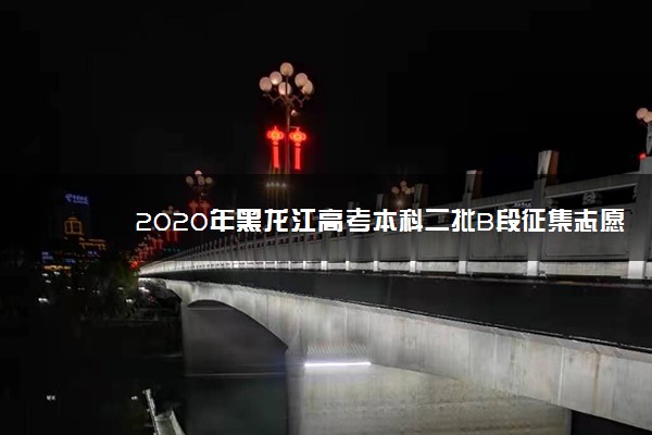 2020年黑龙江高考本科二批B段征集志愿招生计划