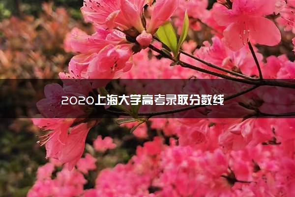 2020上海大学高考录取分数线