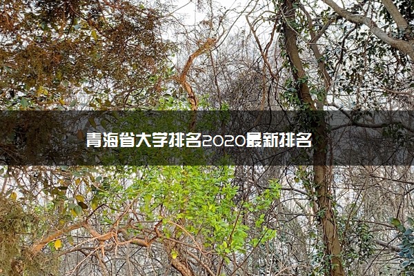 青海省大学排名2020最新排名